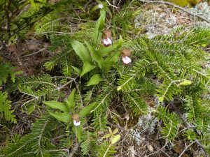 PXL_20250531_151633372