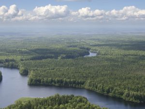 The View overhand the river on green forest plain.