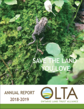 Impact Report -2018 -2019
