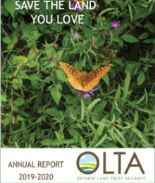 Impact Report -2019 -2020