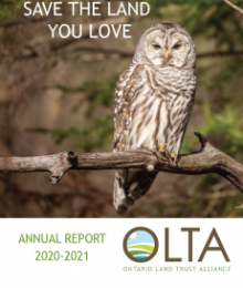Impact Report -2020 -2021