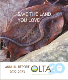 Impact Report -2022 -2023
