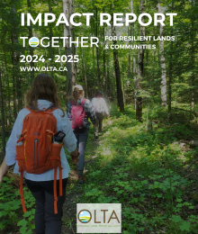 Impact Report 2024 - 2025